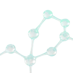 Sergi Ferrer, Asesor Nutricional 662 62 70 01 – sergi.ferrer@naturalaloevera.cat